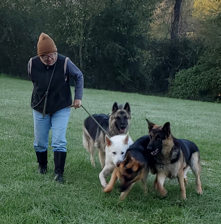 Emily with several Rosehall Shepherds