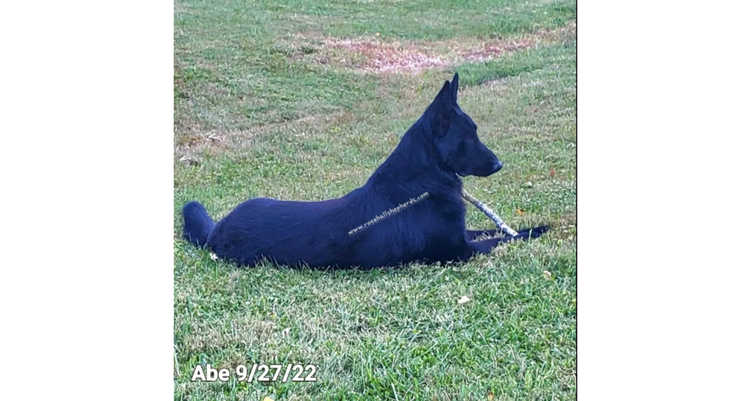 Abe2
