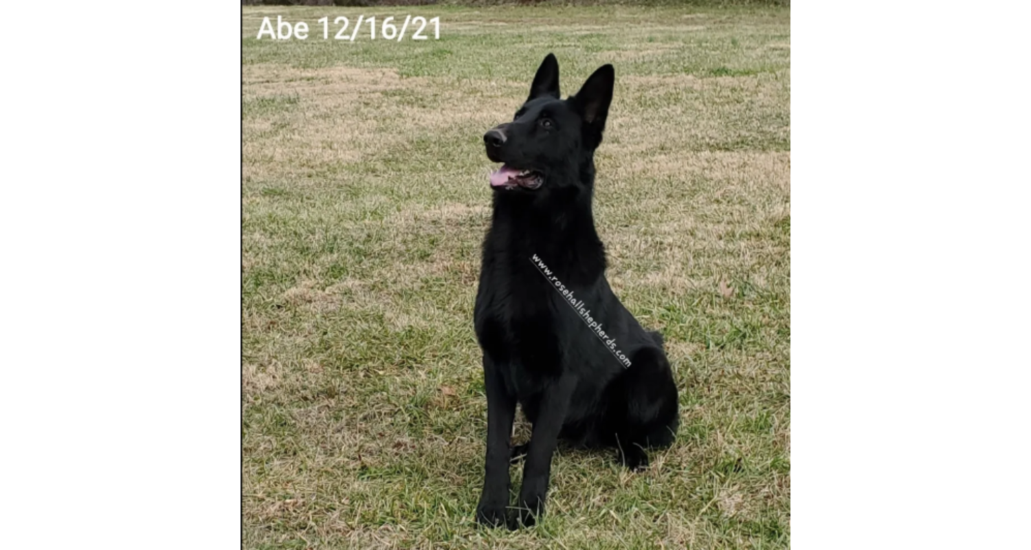 Abe4