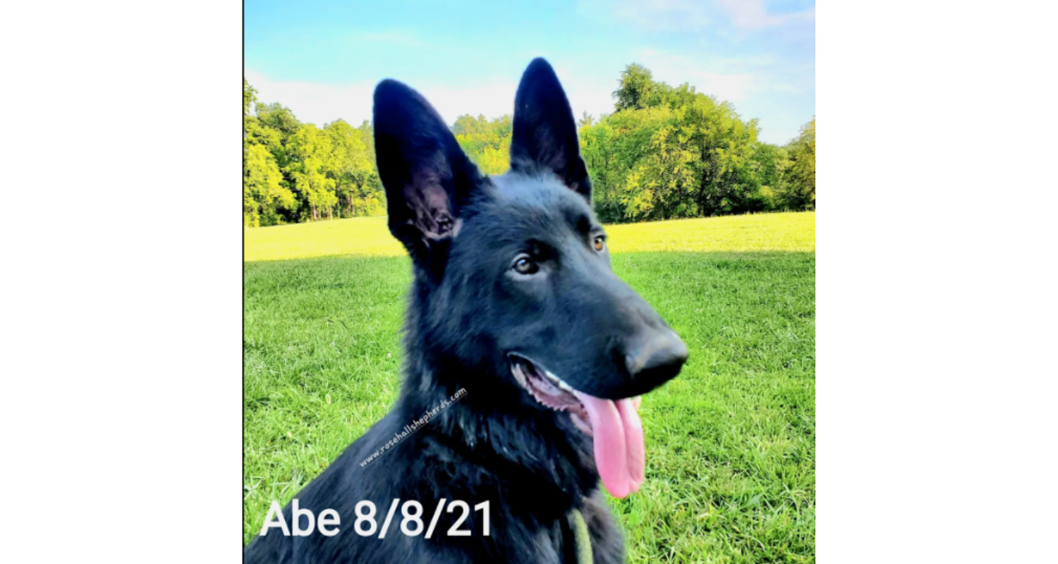 Abe5