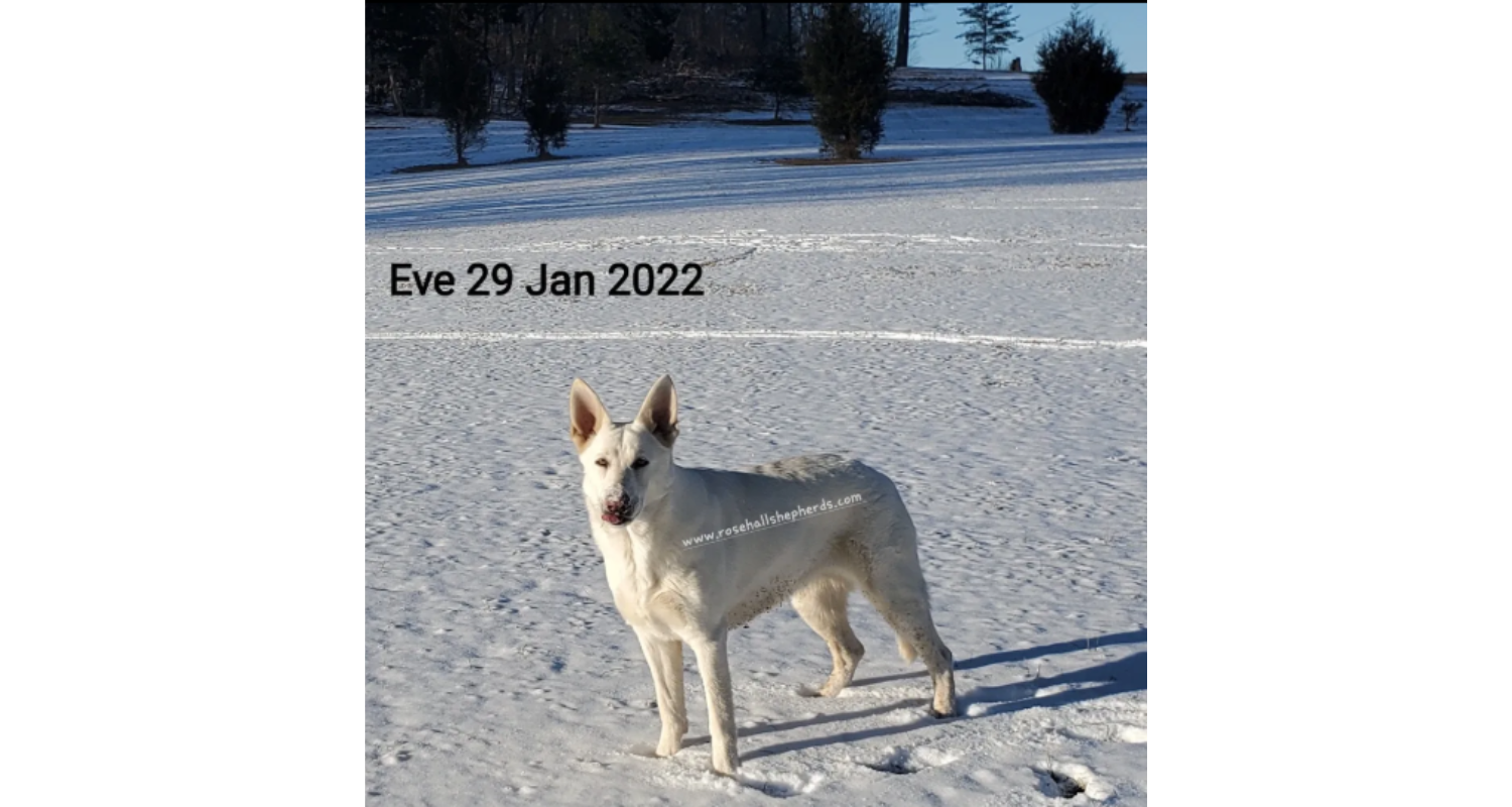 Eve5