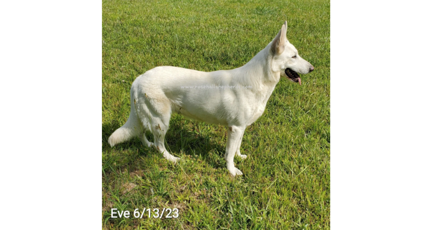 Eve9
