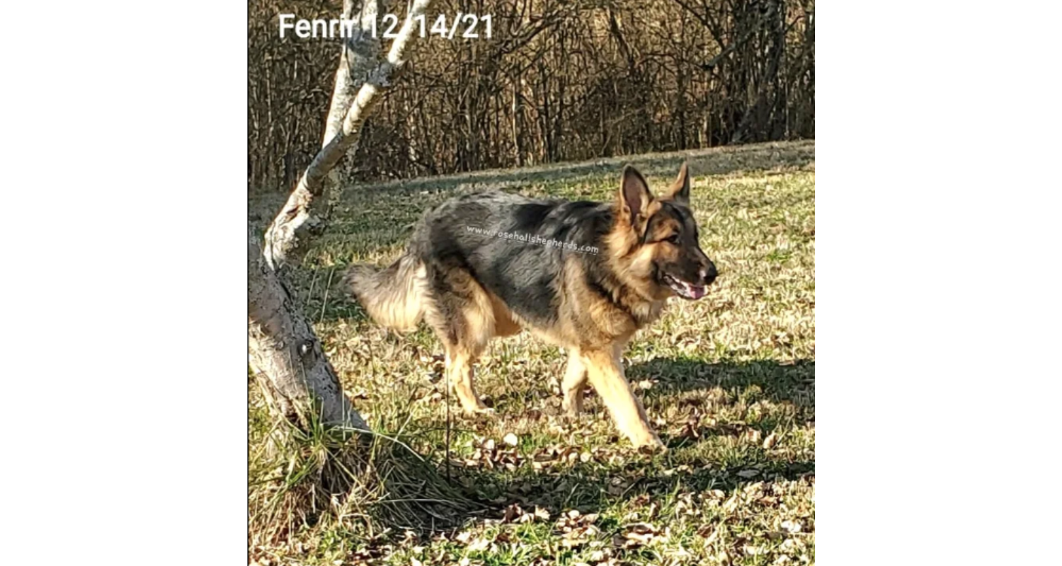 Fenn2