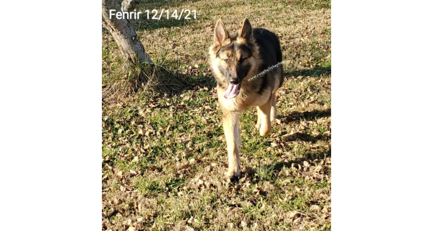 Fenn3