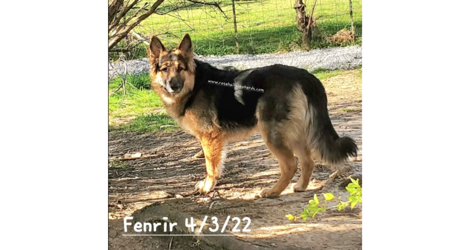 Fenn5