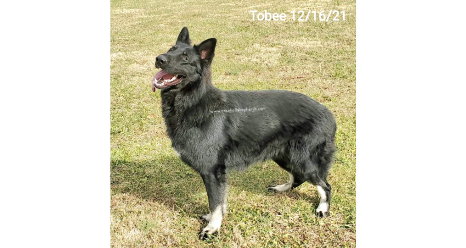 Tobee7